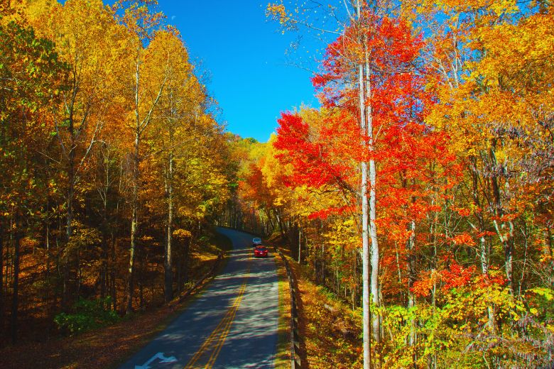 Top Places to View Fall Colors in Pigeon Forge
